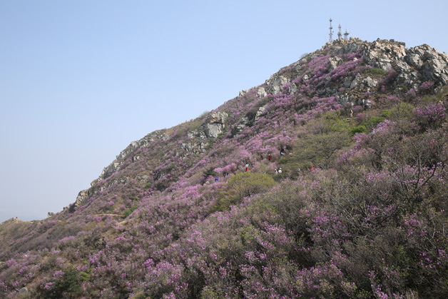 0638̫������(�й���)�ٷ���վ-Macau Platform