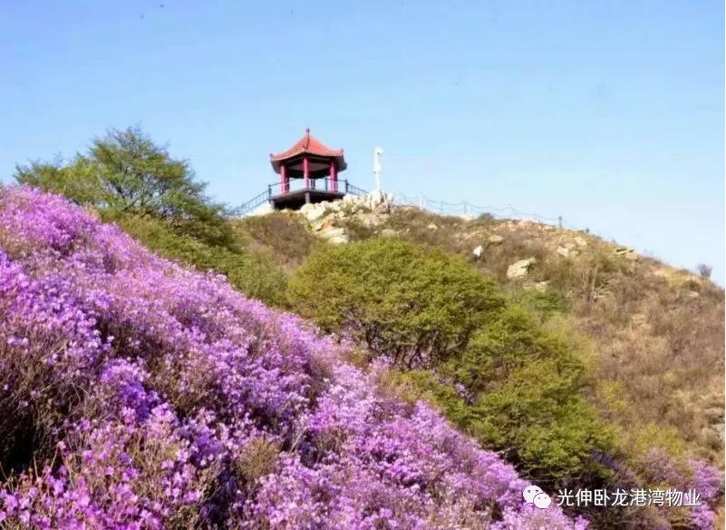 0638̫������(�й���)�ٷ���վ-Macau Platform