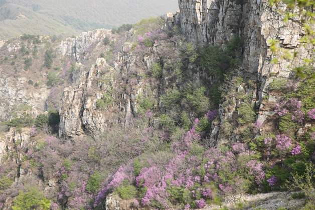 0638̫������(�й���)�ٷ���վ-Macau Platform