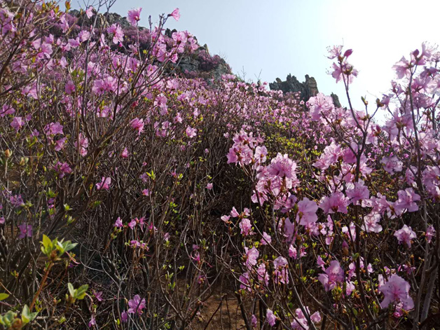 0638̫������(�й���)�ٷ���վ-Macau Platform