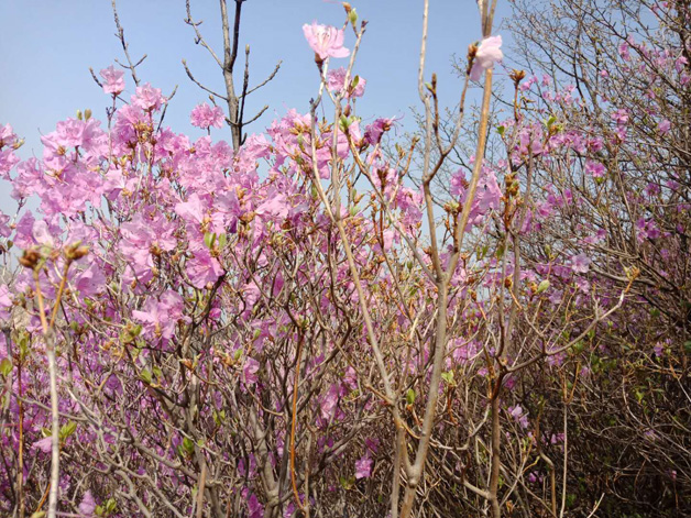 0638̫������(�й���)�ٷ���վ-Macau Platform